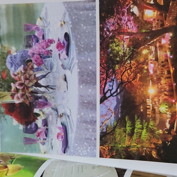 Wedding planner workbook & Organizer - Picture 3 of 7